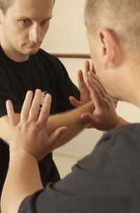 Tai Chi Pushing Hands