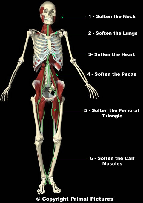 Summary of the Deep Front Line Standing Meditation